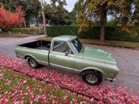 Chevrolet C10 pickup  - <small></small> 43.000 € <small>TTC</small> - #19