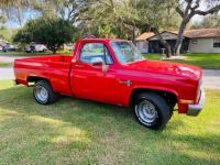 Chevrolet C10 Scottsdale  - <small></small> 26.000 € <small>TTC</small> - #2