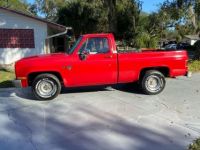 Chevrolet C10 Scottsdale  - <small></small> 26.000 € <small>TTC</small> - #5