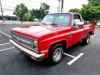 Chevrolet C10 Scottsdale  - <small></small> 26.000 € <small>TTC</small> - #18