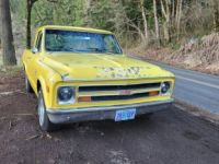 Chevrolet C10 swb - <small></small> 24.700 € <small>TTC</small> - #2