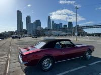 Chevrolet Camaro - <small></small> 62.000 € <small>TTC</small> - #7