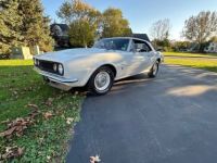 Chevrolet Camaro - <small></small> 29.000 € <small>TTC</small> - #15