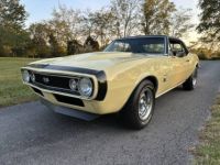 Chevrolet Camaro - <small></small> 44.000 € <small>TTC</small> - #6