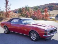 Chevrolet Camaro - <small></small> 48.000 € <small>TTC</small> - #3