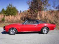 Chevrolet Camaro - <small></small> 48.000 € <small>TTC</small> - #6