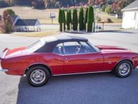 Chevrolet Camaro - <small></small> 48.000 € <small>TTC</small> - #9