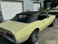 Chevrolet Camaro - <small></small> 53.000 € <small>TTC</small> - #19