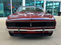 Chevrolet Camaro - <small></small> 80.000 € <small>TTC</small> - #2