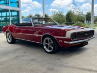 Chevrolet Camaro - <small></small> 101.000 € <small>TTC</small> - #3