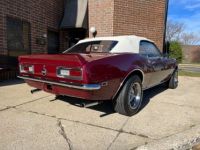 Chevrolet Camaro - <small></small> 55.000 € <small>TTC</small> - #5