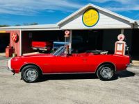 Chevrolet Camaro - <small></small> 55.500 € <small>TTC</small> - #3