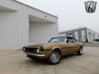 Chevrolet Camaro - <small></small> 47.500 € <small>TTC</small> - #3