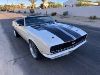 Chevrolet Camaro rs/ss  - <small></small> 68.000 € <small>TTC</small> - #14