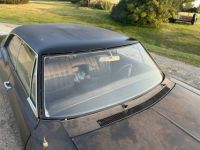 Chevrolet Caprice - <small></small> 21.000 € <small>TTC</small> - #9