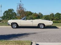 Chevrolet Chevelle - <small></small> 93.000 € <small>TTC</small> - #2