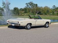 Chevrolet Chevelle - <small></small> 93.000 € <small>TTC</small> - #6