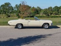 Chevrolet Chevelle - <small></small> 93.000 € <small>TTC</small> - #7