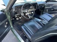 Chevrolet Chevelle - <small></small> 79.000 € <small>TTC</small> - #15