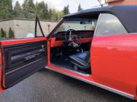 Chevrolet Chevelle - <small></small> 66.000 € <small>TTC</small> - #13