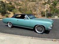 Chevrolet Chevelle - <small></small> 96.000 € <small>TTC</small> - #5