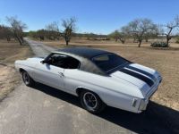 Chevrolet Chevelle - <small></small> 71.000 € <small>TTC</small> - #8