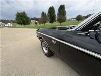 Chevrolet Chevelle - <small></small> 79.500 € <small>TTC</small> - #16