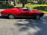 Chevrolet Corvair - <small></small> 16.000 € <small>TTC</small> - #13