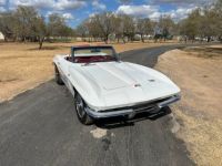 Chevrolet Corvette C2 - <small></small> 92.000 € <small>TTC</small> - #8