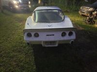 Chevrolet Corvette C3 - <small></small> 19.000 € <small>TTC</small> - #3