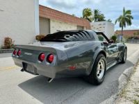 Chevrolet Corvette C3 - <small></small> 25.000 € <small>TTC</small> - #5