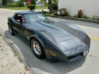 Chevrolet Corvette C3 - <small></small> 25.000 € <small>TTC</small> - #23