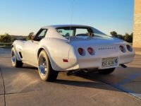 Chevrolet Corvette C3 - <small></small> 29.000 € <small>TTC</small> - #5