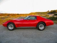 Chevrolet Corvette C3 - <small></small> 18.000 € <small>TTC</small> - #19