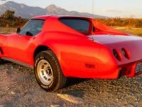 Chevrolet Corvette C3 - <small></small> 18.000 € <small>TTC</small> - #20