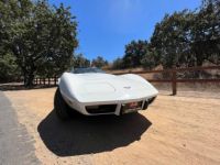 Chevrolet Corvette C3 - <small></small> 20.000 € <small>TTC</small> - #2