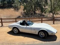 Chevrolet Corvette C3 - <small></small> 20.000 € <small>TTC</small> - #13