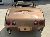 Chevrolet Corvette C3 - <small></small> 46.000 € <small>TTC</small> - #7