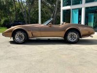 Chevrolet Corvette C3 - <small></small> 46.000 € <small>TTC</small> - #9