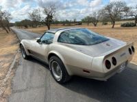 Chevrolet Corvette C3 - <small></small> 30.000 € <small>TTC</small> - #7