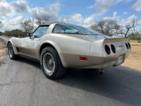 Chevrolet Corvette C3 - <small></small> 30.000 € <small>TTC</small> - #8