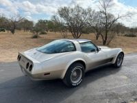 Chevrolet Corvette C3 - <small></small> 30.000 € <small>TTC</small> - #9