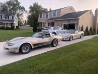 Chevrolet Corvette C3 - <small></small> 29.000 € <small>TTC</small> - #8