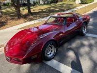 Chevrolet Corvette C3 - <small></small> 30.000 € <small>TTC</small> - #14