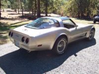 Chevrolet Corvette C3 - <small></small> 26.000 € <small>TTC</small> - #11