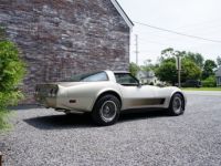 Chevrolet Corvette C3 - <small></small> 33.300 € <small>TTC</small> - #6