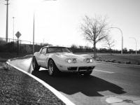 Chevrolet Corvette C3 - <small></small> 28.300 € <small>TTC</small> - #20