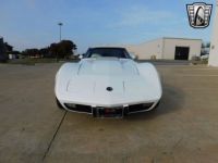 Chevrolet Corvette C3 - <small></small> 31.900 € <small>TTC</small> - #6