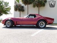 Chevrolet Corvette C3 - <small></small> 77.900 € <small>TTC</small> - #9