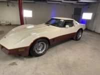 Chevrolet Corvette C3 - <small></small> 22.200 € <small>TTC</small> - #5